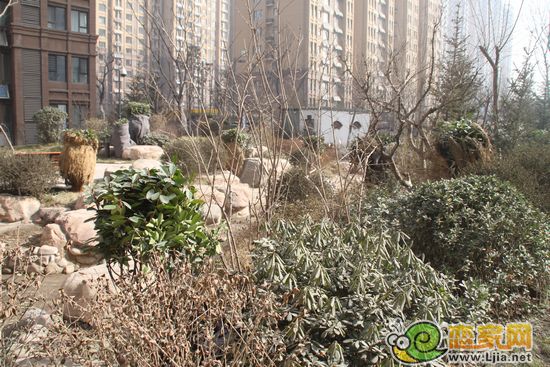 碧水灣小區(qū)園林景色