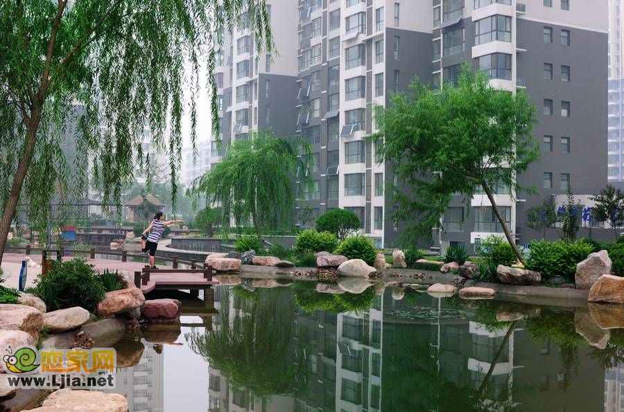 “我們的榮盛,我們的家”攝影大賽三等獎晨練
