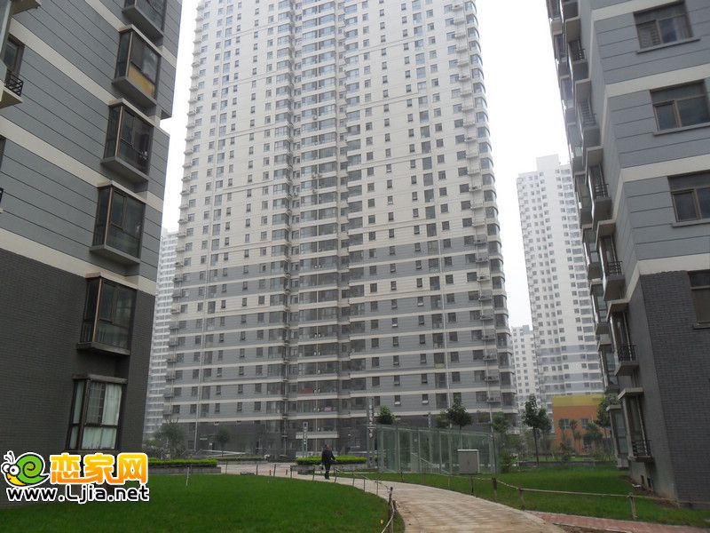 實(shí)景圖