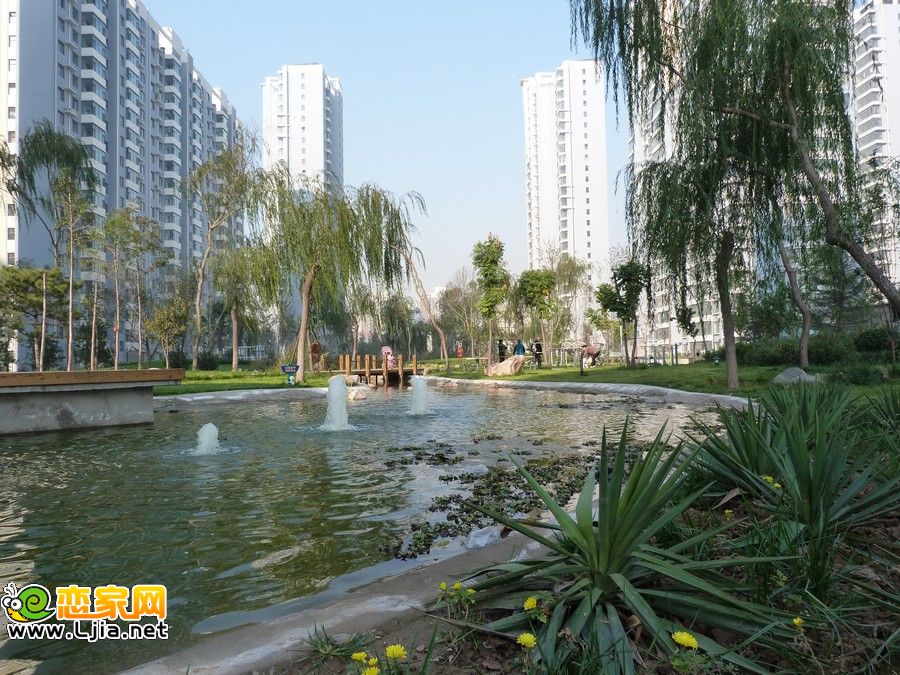 實景圖