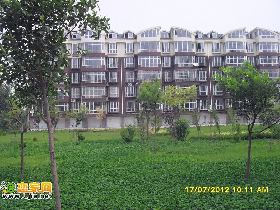 實(shí)景圖