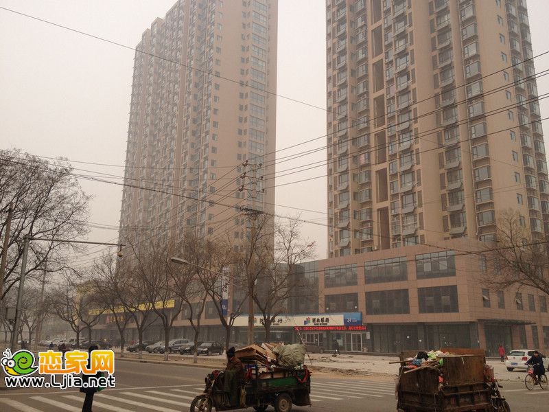 青城逸園實景圖（2013.1.21）