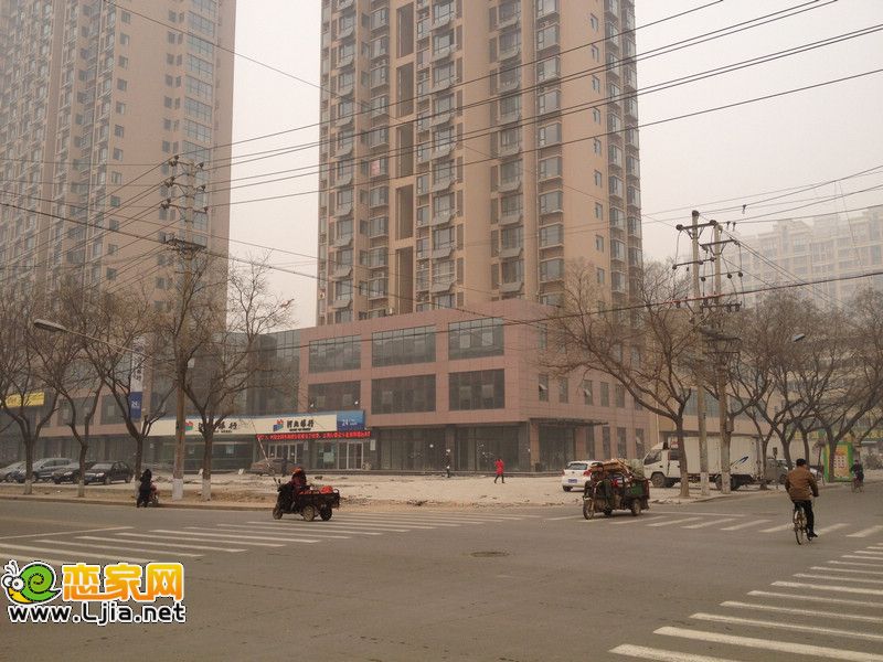青城逸園實景圖（2013.1.21）