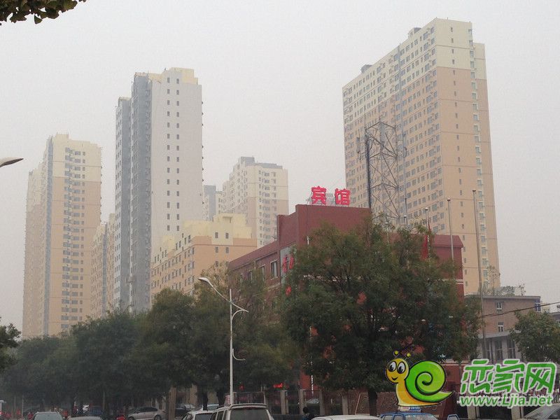 實(shí)景圖