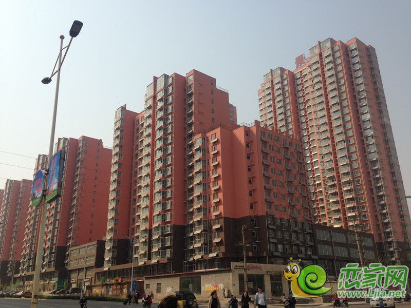 實(shí)景圖