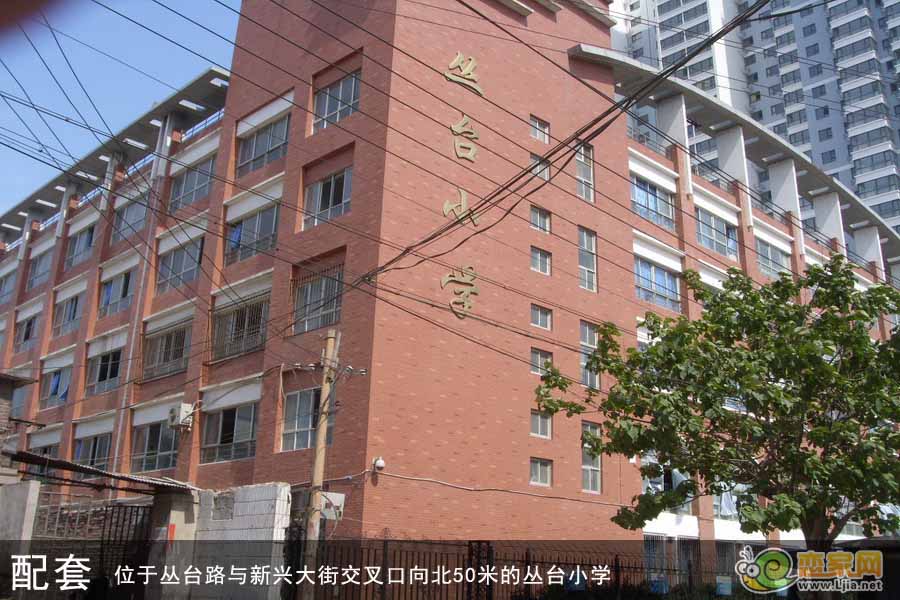 叢臺小學(xué)