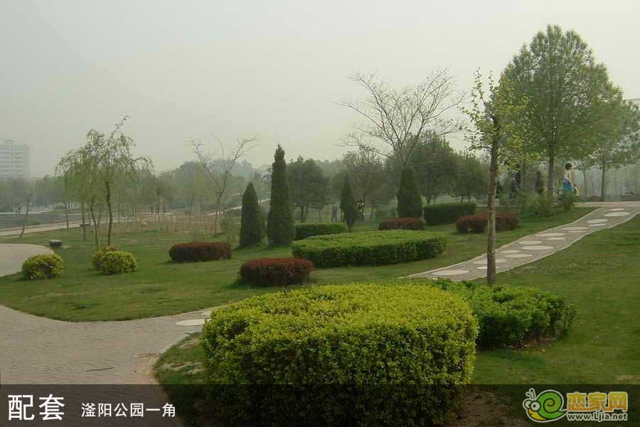 滏陽公園一角