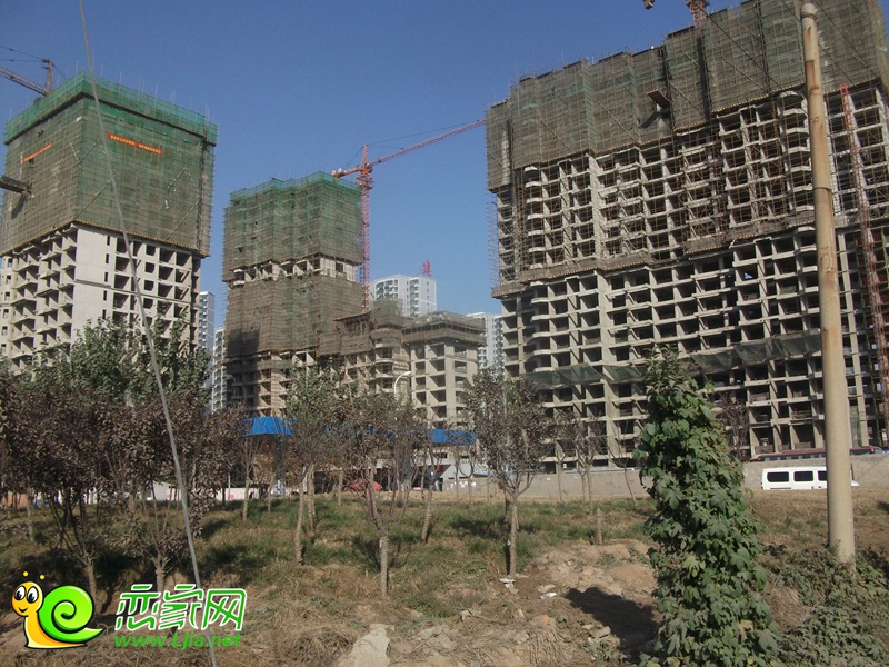 思特利匯鑫灣西區(qū)工程進度實景圖（2013.11.12）