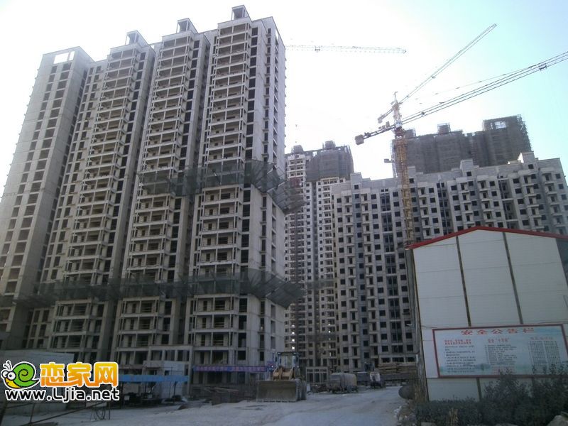 力天鳳凰城實(shí)景圖（2012.02.01）