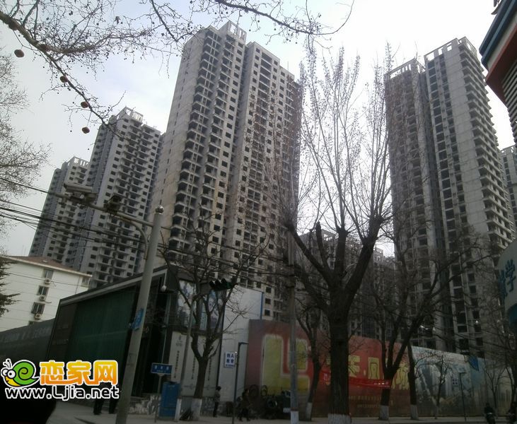 力天鳳凰城實(shí)景圖（2013.03.11）