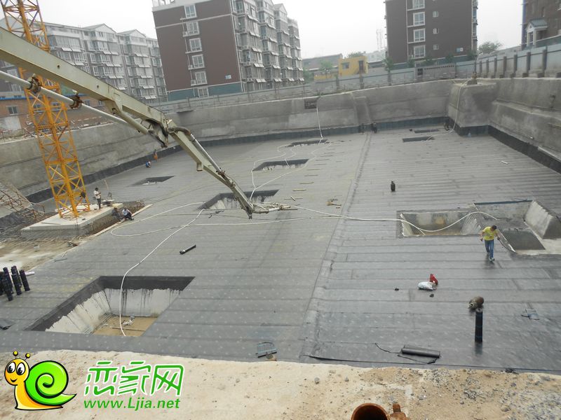 實景圖