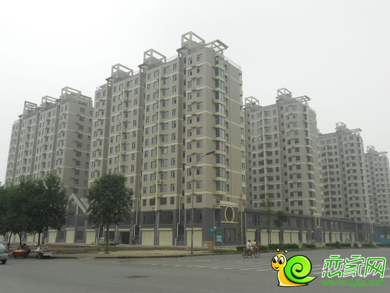 實(shí)景圖