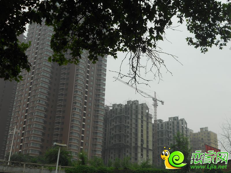 實景圖