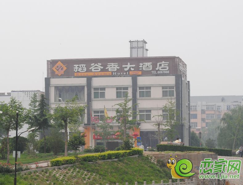 稻谷香大酒店