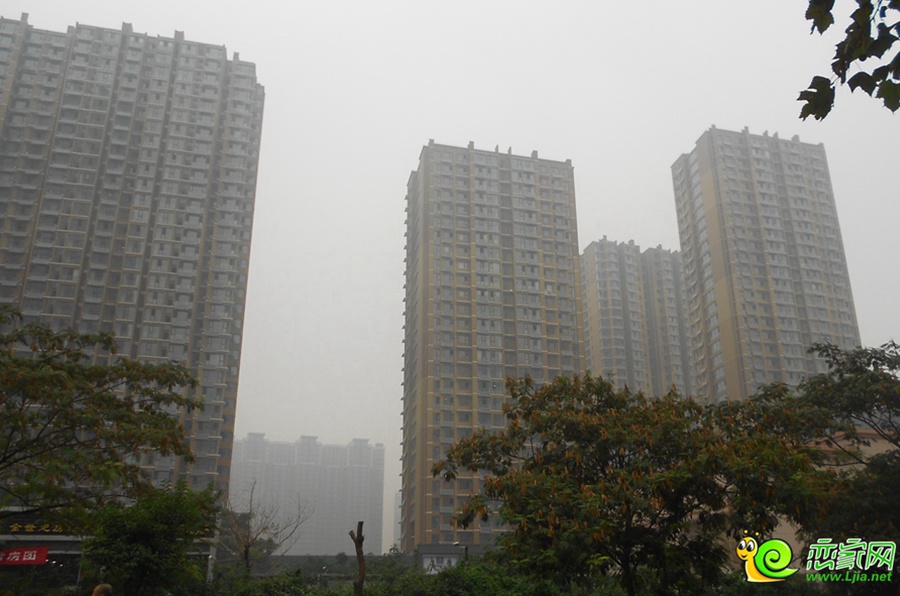 實景圖