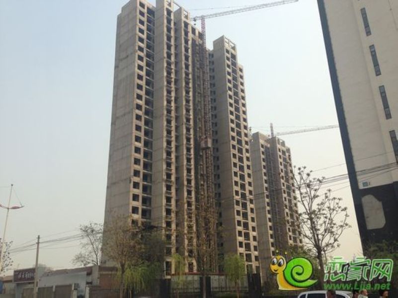 實(shí)景圖
