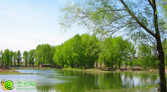 春天風(fēng)景示意圖