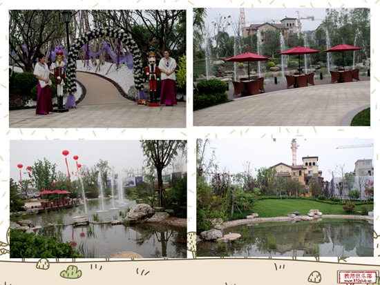 紫岸美麗風(fēng)景一覽