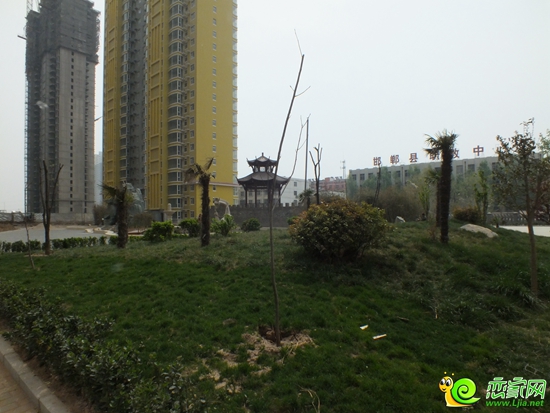 萬聚一期凱旋城園林實景圖