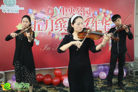 小提琴表演