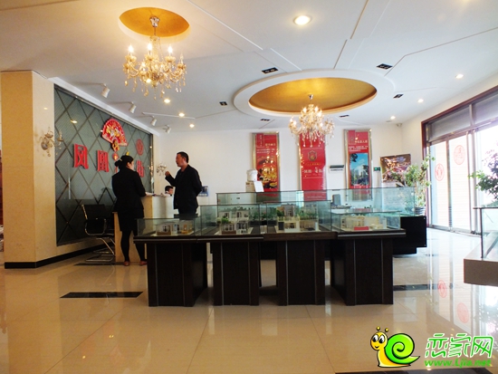 遠(yuǎn)實(shí)鳳凰城沙盤和戶型區(qū)域
