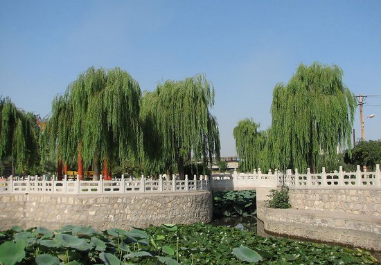 夏季風(fēng)光實(shí)景圖