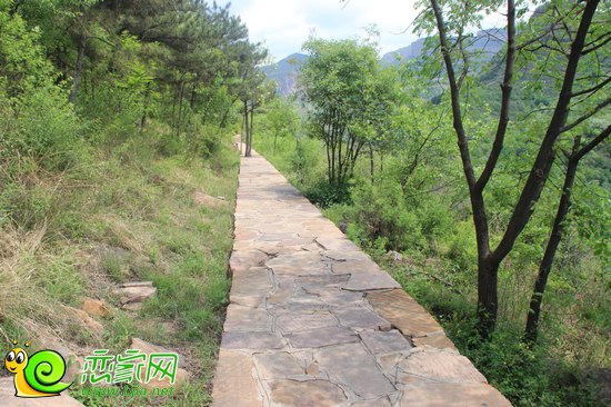 林間小道
