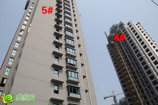 金色漫城實景圖