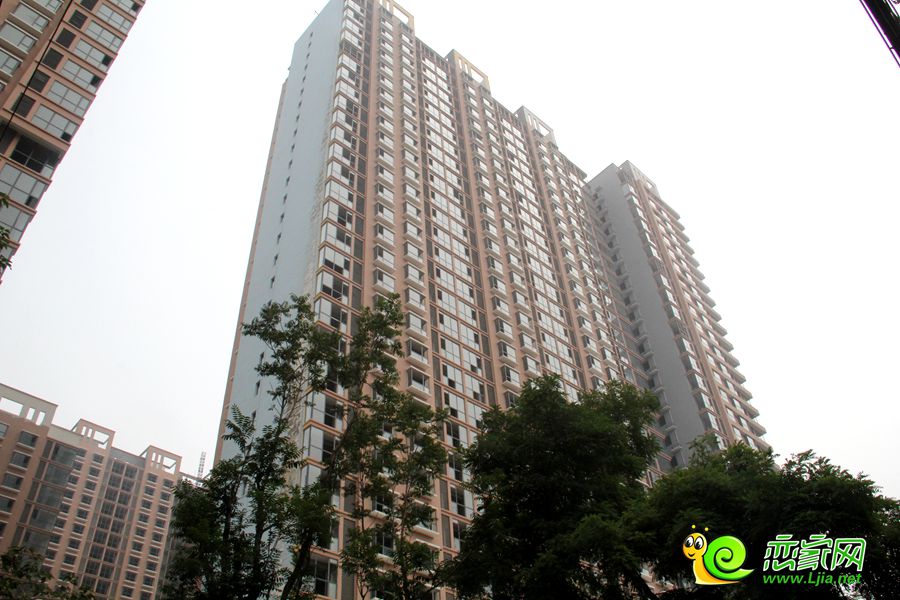 實(shí)景圖