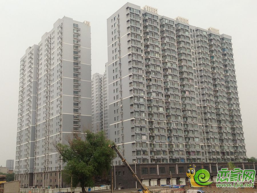 實(shí)景圖