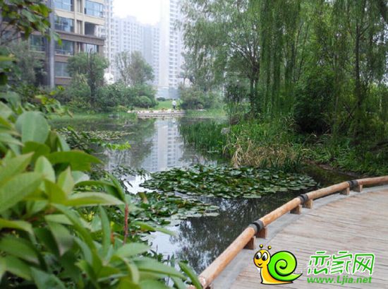 美的城實景圖