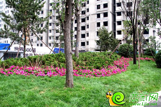 現(xiàn)代·奧城示范區(qū)園林（2014.7.3）