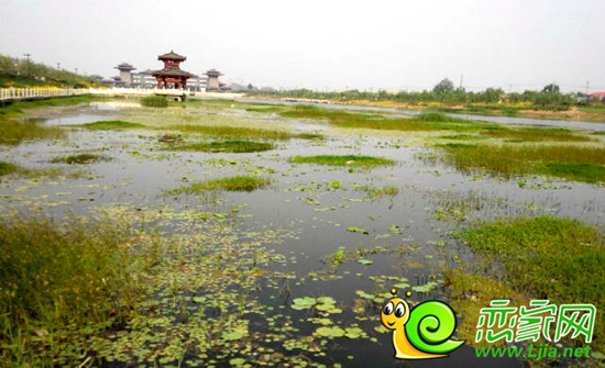 支漳河美景