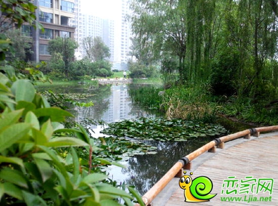 美的城內(nèi)部景觀