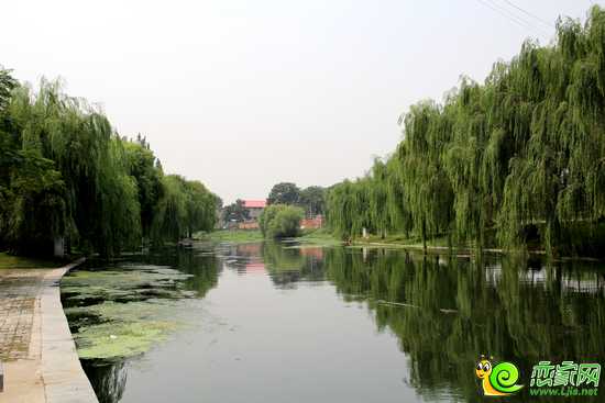 滏陽河景觀