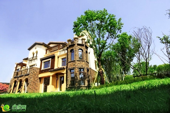 紫岸