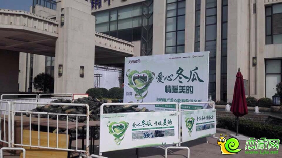 愛(ài)心冬瓜