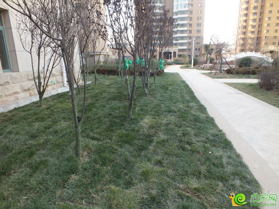 漢成華都實(shí)景圖（2014.12.18）