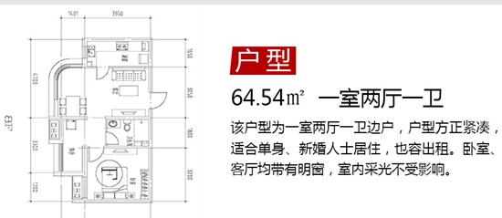 拉德芳斯64.54平方米小戶型