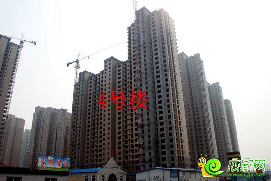 漢成華都4號樓實景圖