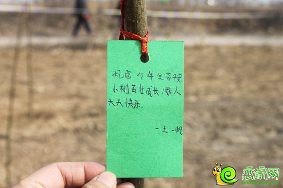 小朋友的心愿卡