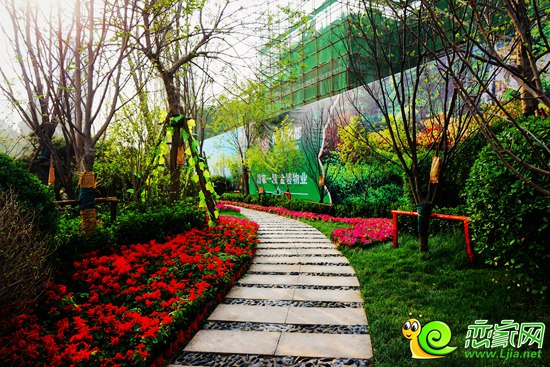 恒大名都園林實(shí)景圖