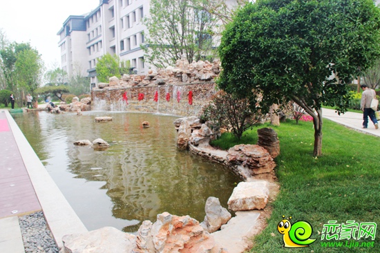 陽光東尚3號地實景圖