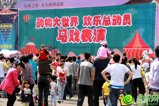 恒大名都動物節(jié)馬戲表演現(xiàn)場
