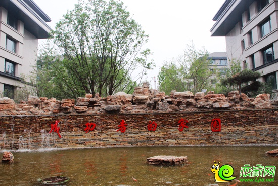 陽(yáng)光東尚·香樟園小區(qū)內(nèi)實(shí)景圖