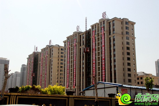 御趙金臺(tái)平墅樓棟實(shí)景圖