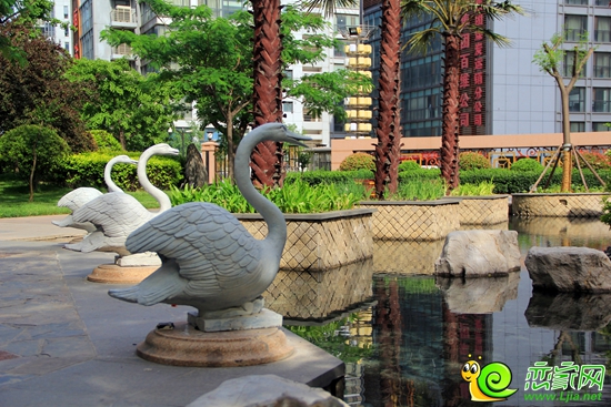 鑫域國(guó)際小區(qū)內(nèi)園林實(shí)景圖