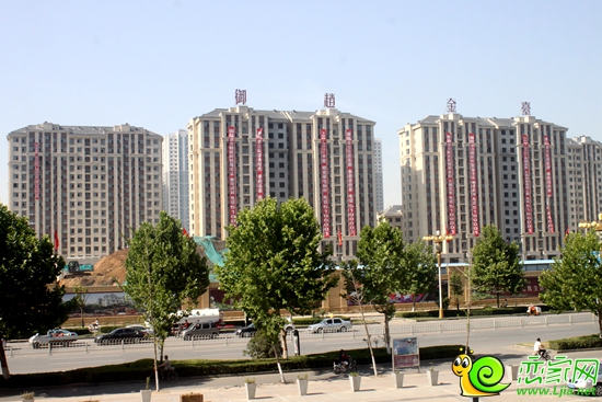 御趙金臺平墅實景圖