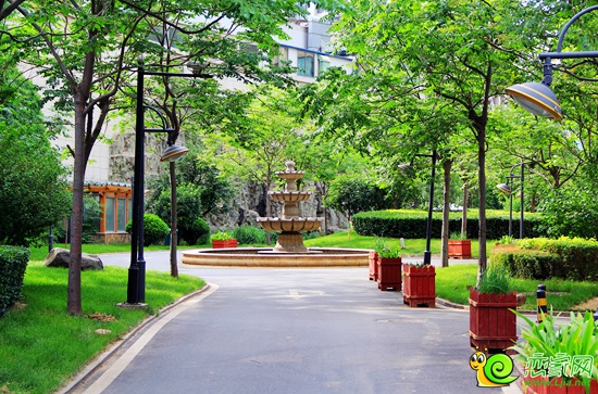 鑫域國際園林實景圖