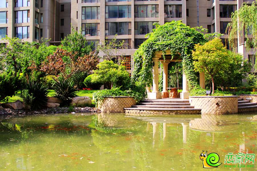 鑫域國際園林實景圖
